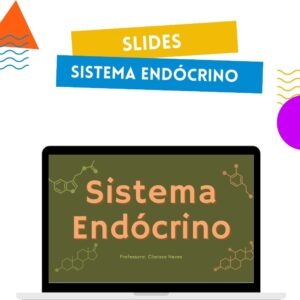 Slide sistema endócrino