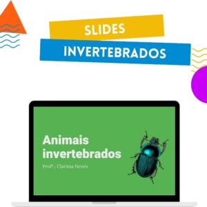 Slide Animais invertebrados