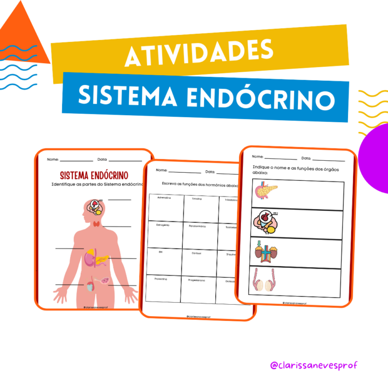 Atividade sistema endócrino - Loja atividades pedagógicas - Clarissa Neves