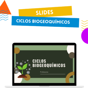 Ciclos biogeoquímicos
