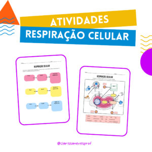 Atividades Respiração celular