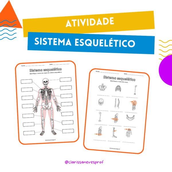 Atividade Sistema esquelético