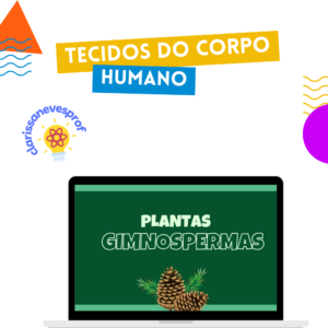Slide sobre Gimnospermas